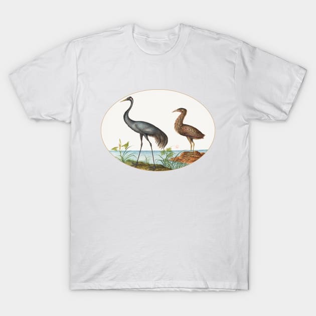 Crane and Bittern (1575–1580) T-Shirt by WAITE-SMITH VINTAGE ART